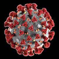 image-corona-virus
