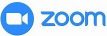 Zoom icon