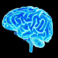 increase-your-brain-grey-matter-meditate-4-free