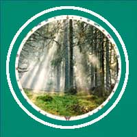 Carl-Jung-nature-cleans-and-balances-a-person